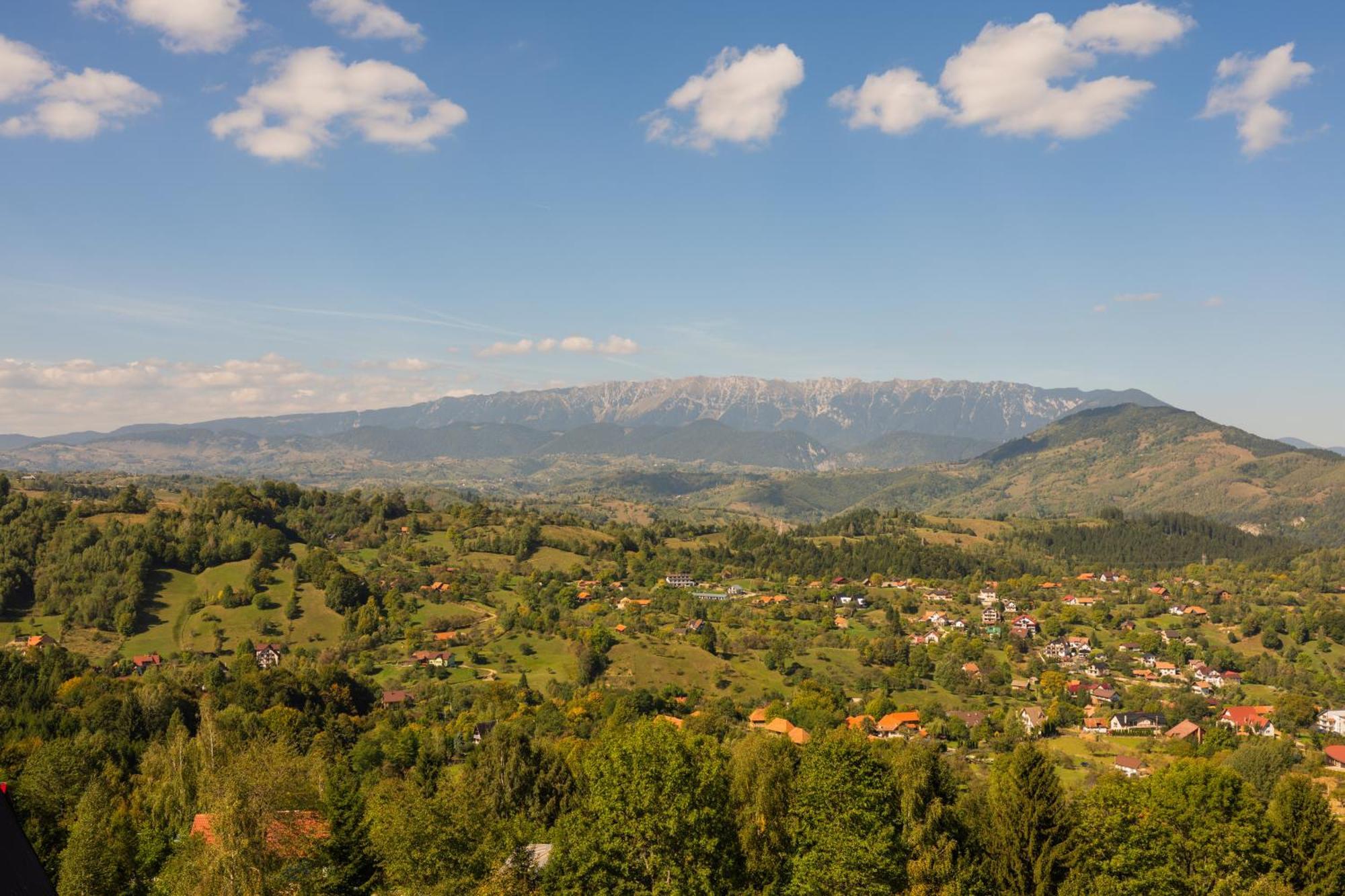 The Pines Bucegi Lodge Бран Экстерьер фото